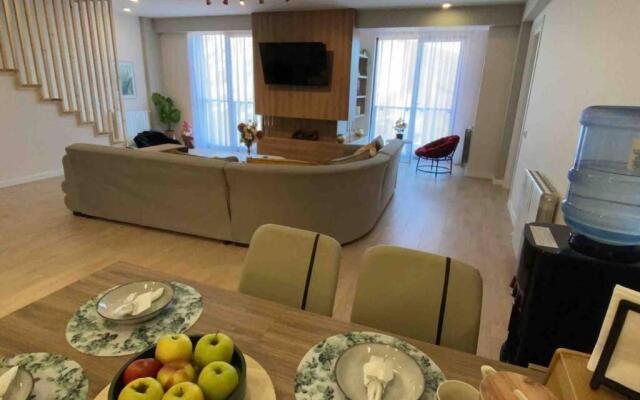 Duplex vip full mountain view near gondola