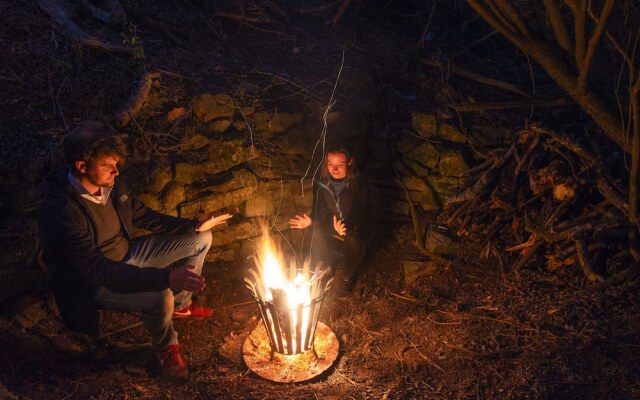 Stargazer Camp - Bellevue Forest Reserve