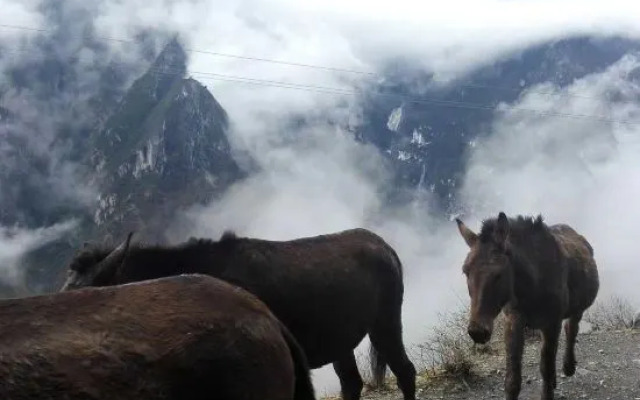 Tiger Leaping Gorge Camp Shangri-La