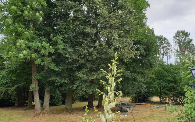 Kottmarschenke - Gastezimmer & Ferienwohnung Am Kottmar