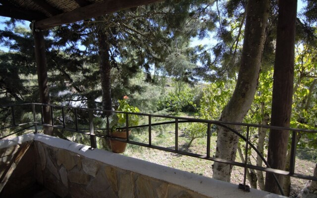 Casa Los Olivos
