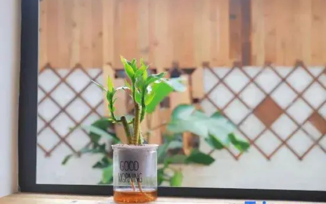 silver yard (Qixingyan Xinghu Yanqian Store)