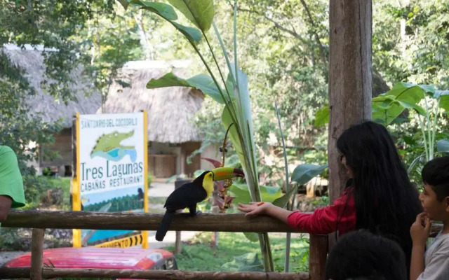 Tres Lagunas, Selva Lacandona
