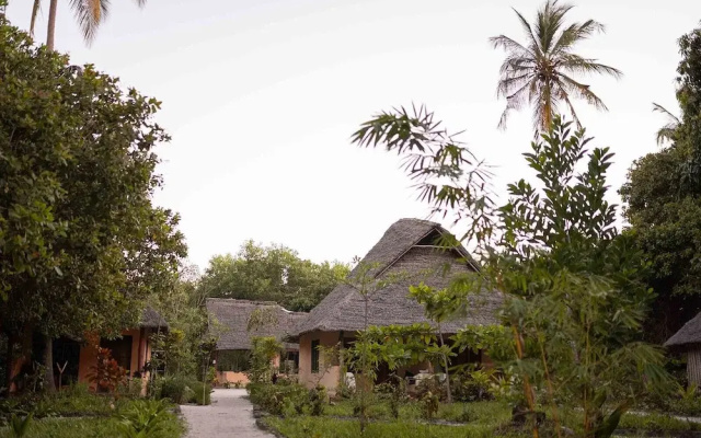 Afro Beach Safari
