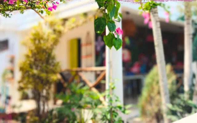 Tribe Inn & Rooftop Lounge