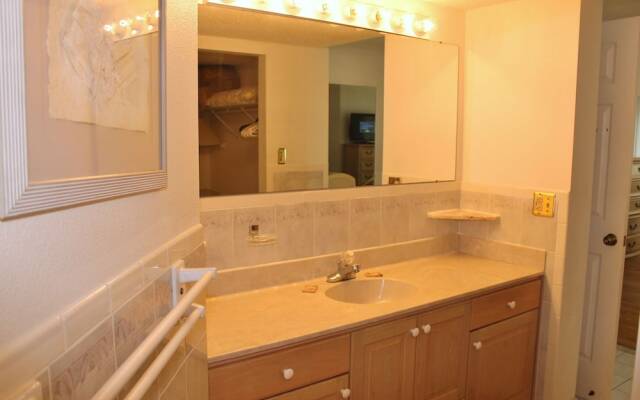 Beach Palms 405