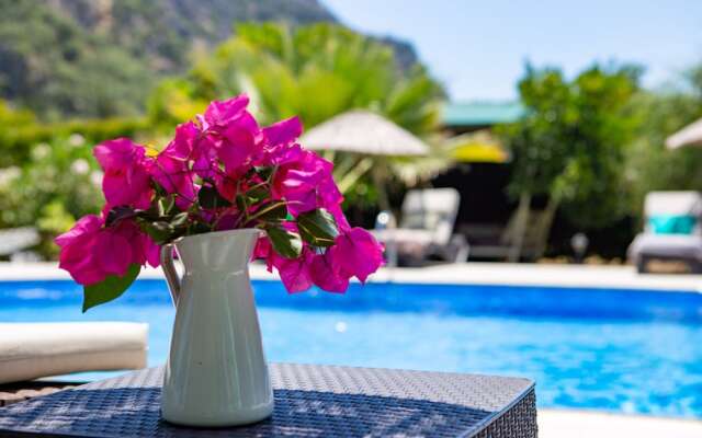 Portalimo Lodge Hotel - Adult Only +12