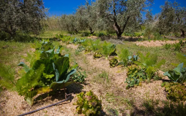 Agriturismo biologico Piccapane