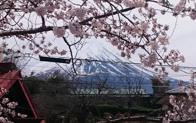 Fuji Sakura House