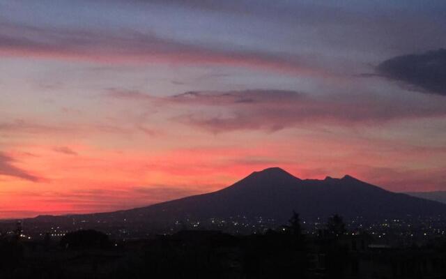 Secret pearl! Amalfi Coast, Pompei & Naples Free parking