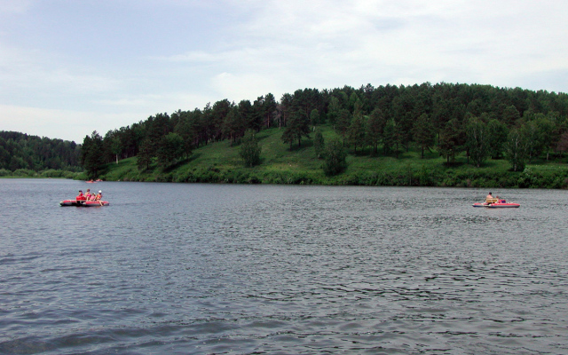 Кедровый бор