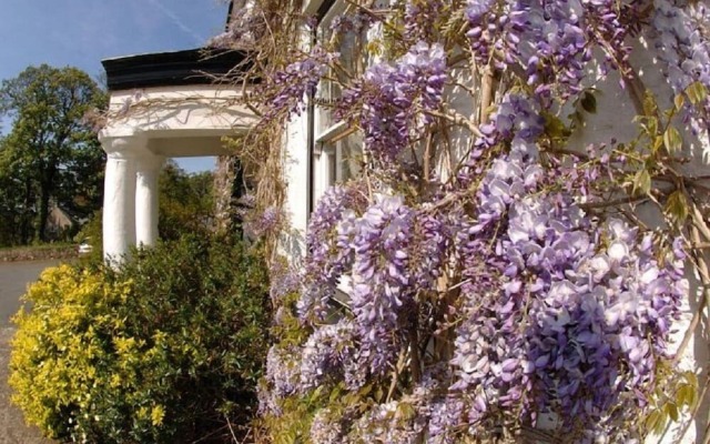 Cuffern Manor