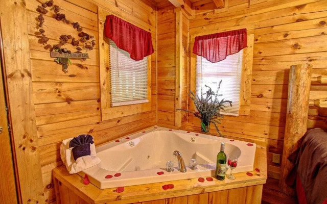 Almost Paradise 1 Bedroom 1 Bathroom Cabin