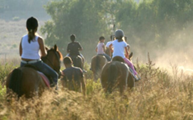 Mont Aux Sources Hotel & Resort