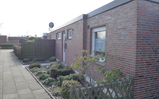 Seefalke Norden in Norden