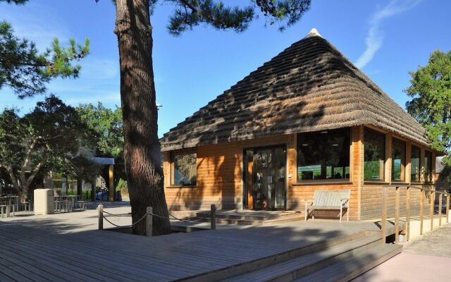 Camping San Damiano