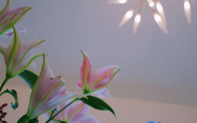 Xinglu Huasu City Meisu (Longzihu Subway Station)