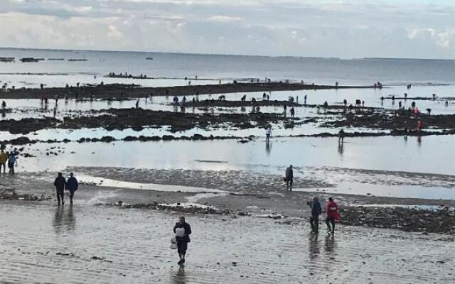 les gîtes de La Cossais