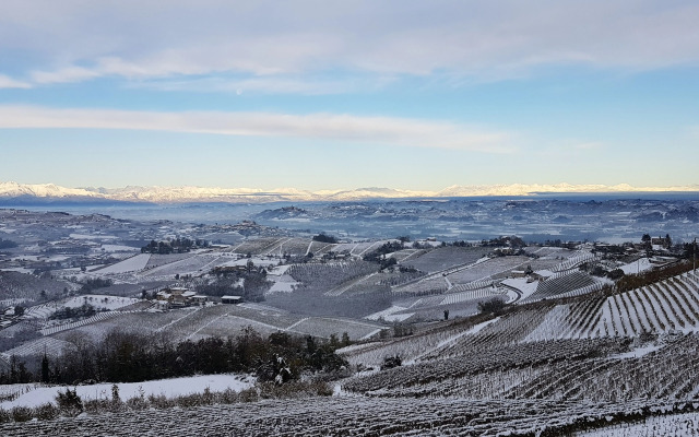 Villa Bellavista Alba