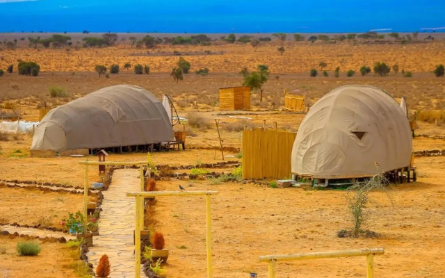 Amanya 2-rooms Lioness Family