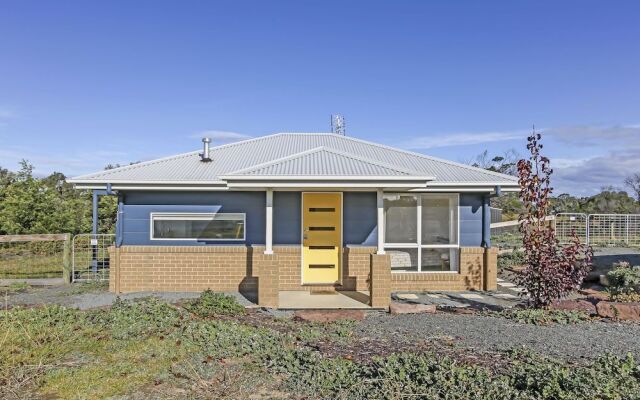 The Friendly Pelican