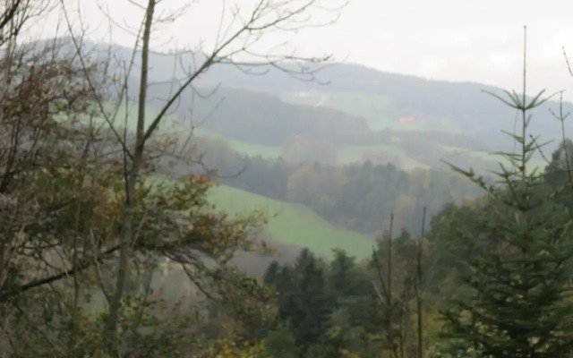 Waldpension Stachl