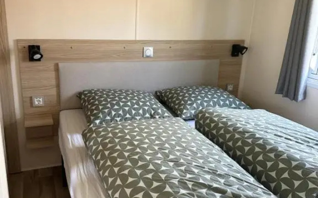 De Lente Van Drenthe