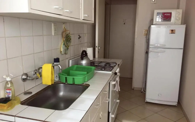 Mendoza departamento Chile 1358