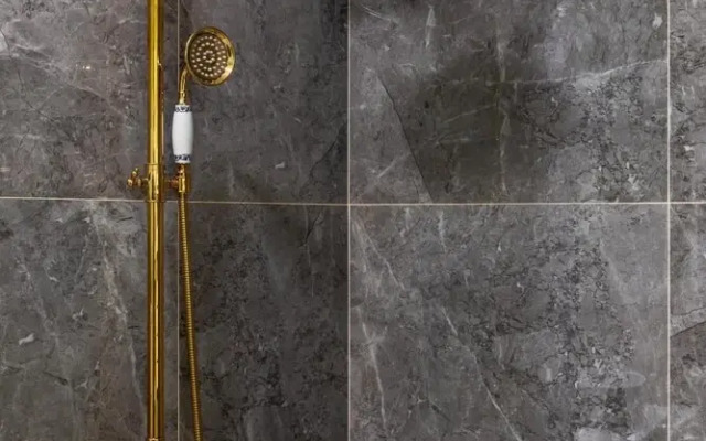 Baloo and Bagheera in Bucure ti