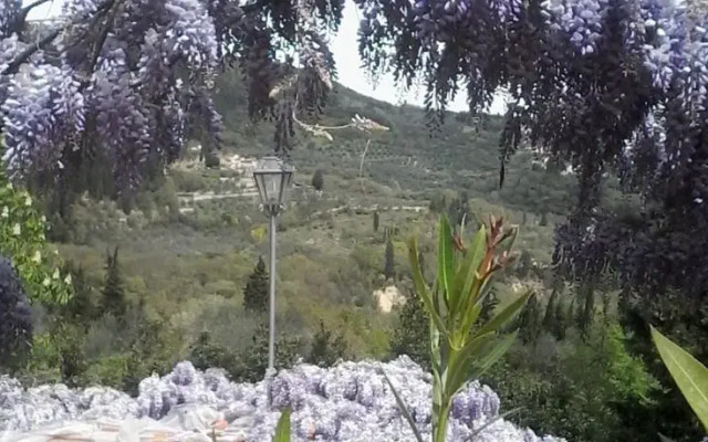 Villa Il Bosco - Rental on the hills of Florence