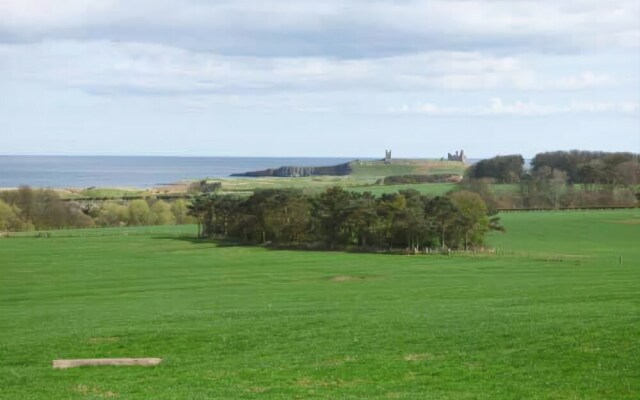 The Lookout