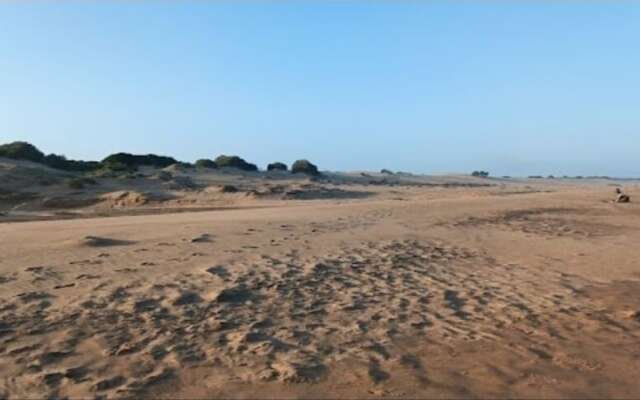 The Tropical Hut Lodges