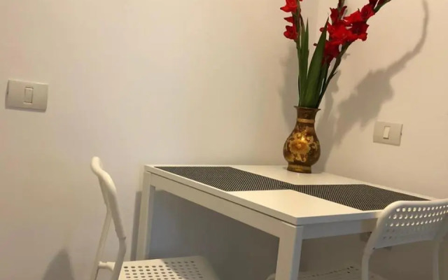 Sea Studio
