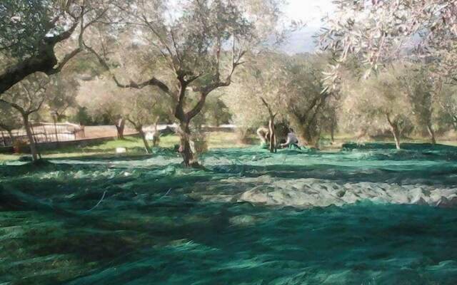 Agriturismo Borgonuovo