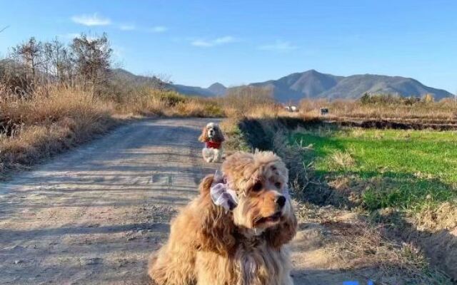 Xiangyang is like your hospital