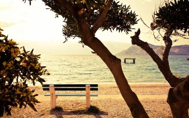 Apartment With Terrace