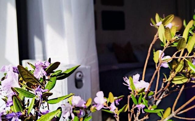 Апартаменты на улице Вербная 5