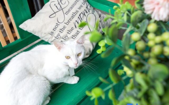 Simu Shiguang Guesthouse