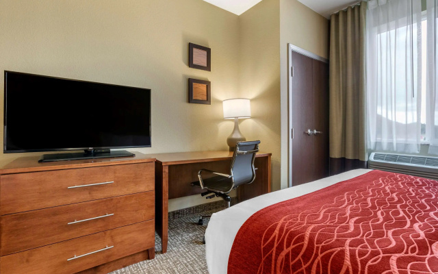 Comfort Inn & Suites Near Mt. Rushmore