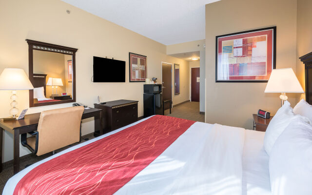 Comfort Inn & Suites Maingate South