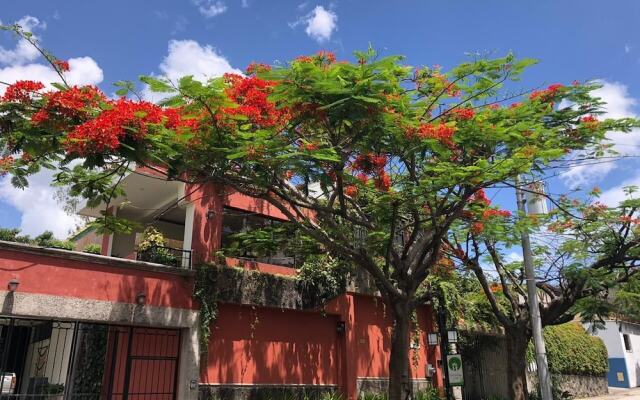 Árbol de Fuego Eco-Hotel