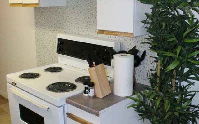Adib Apartments - 150 Young St, Unit 4 (Basement)
