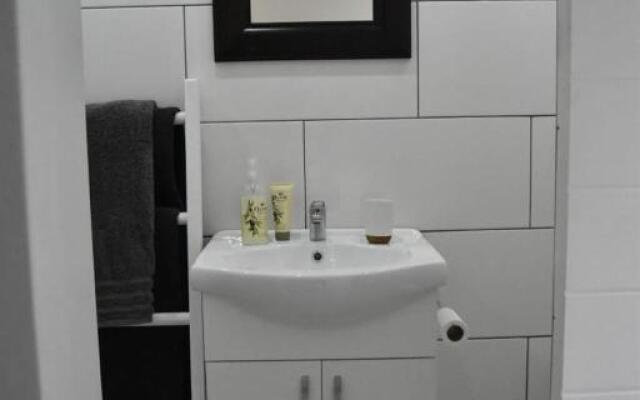 Sunflower & Moonflower