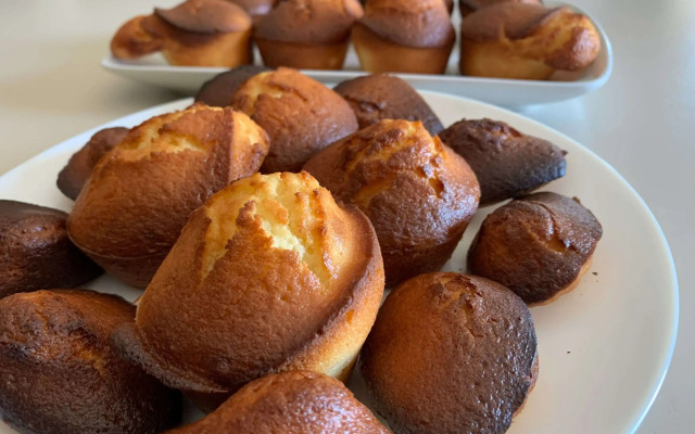 Hôtel des Etats Unis