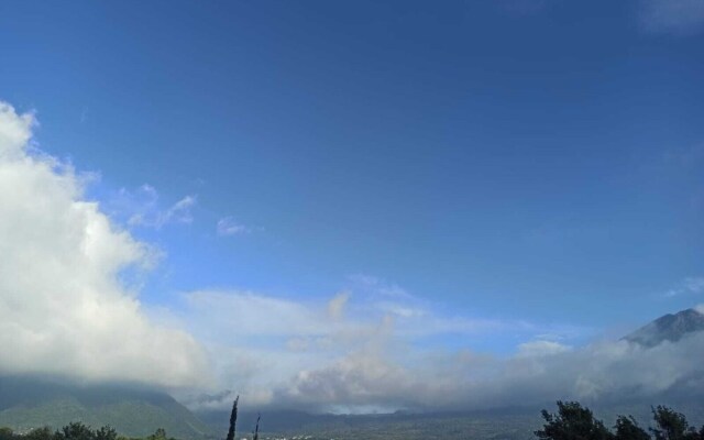 Indian Palace Hotel Boutique Spa