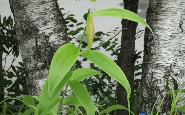 Ontake Kyukamura