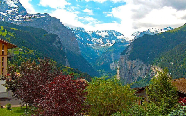 Rose Lauterbrunnen in Lauterbrunnen