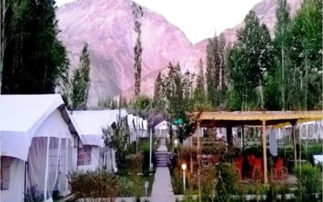 Saser Camp Nubra