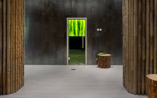 Австрийский центр здоровья Verba Mayr