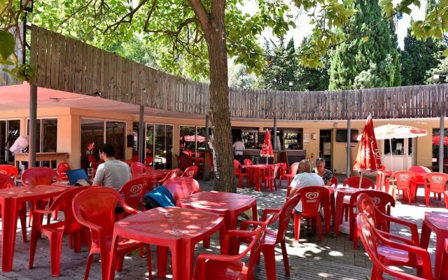Camping Du Pont D'Avignon